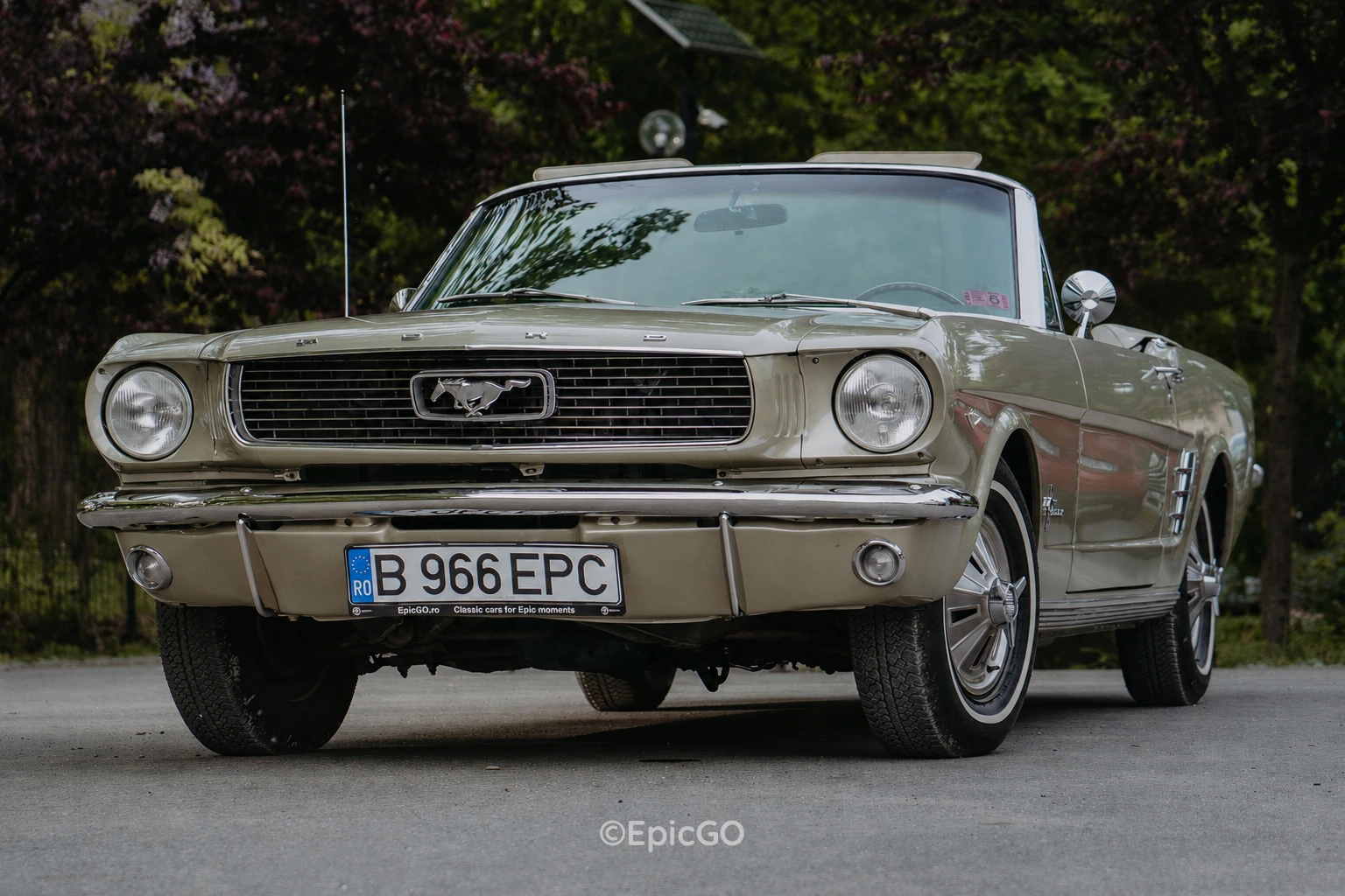 Epic Car 8